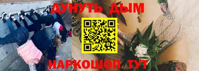 прущие крисы Комсомольск-на-Амуре